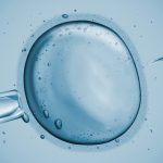 Fresh Embryo Transfer vs. Frozen