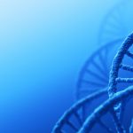Preimplantation Genetic Screening (PGS) and Preimplantation Genetic Diagnosis (PGD)