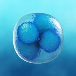 Healthy Baby Born From Embryo Frozen 24 Years Ago