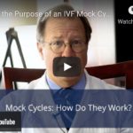 The Purpose of a Mock Cycle During IVF