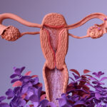 Endometrial Receptivity Assay (ERA) During Infertility Treatment