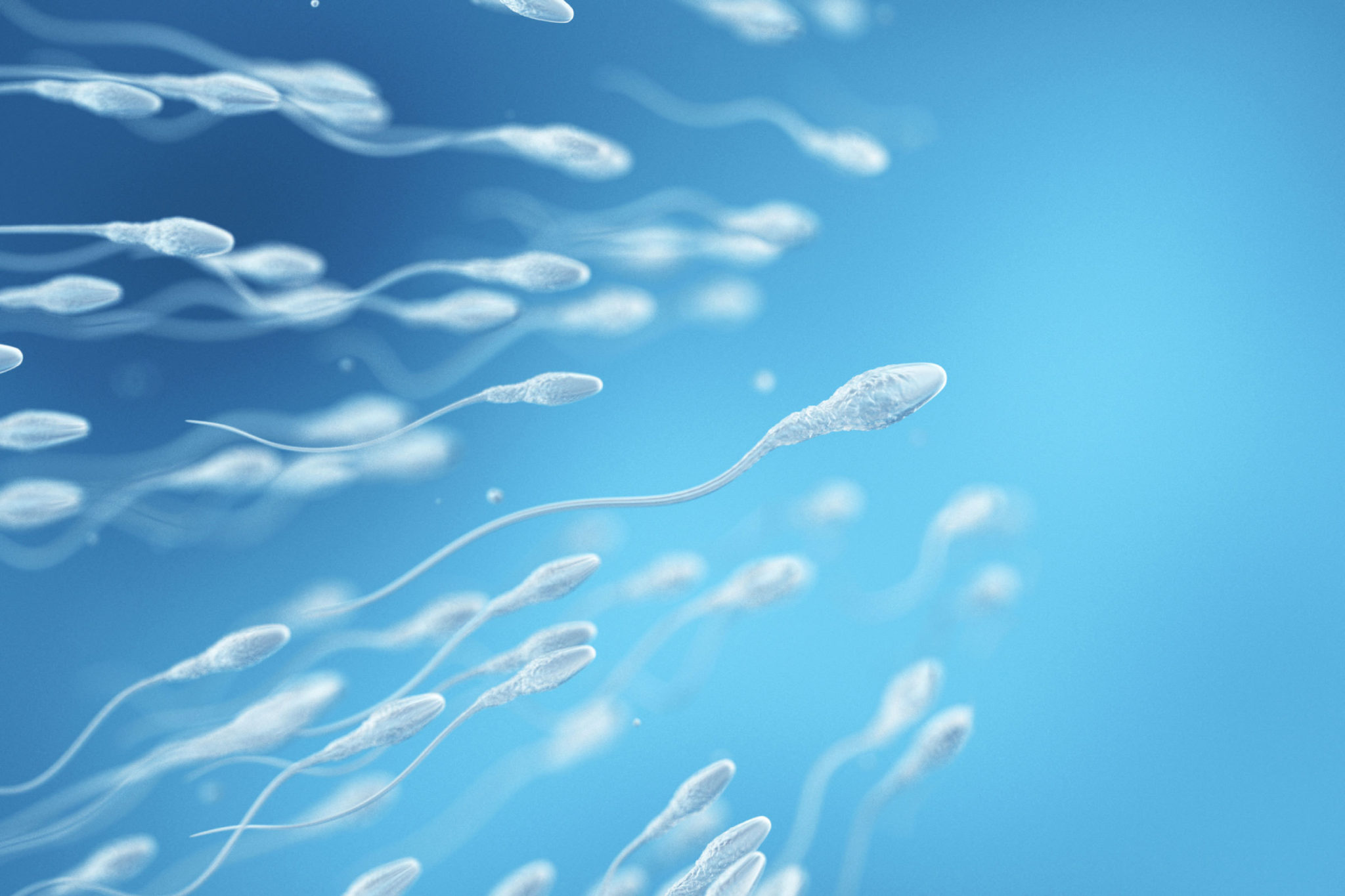 An image of sperm racing forward set against a blue background.
