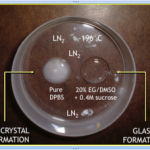 Cryopreservation (freezing) of embryos