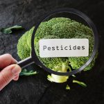 pesticides and endometriosis risks