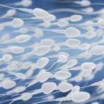 healthy sperm
