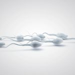 zika virus infertility