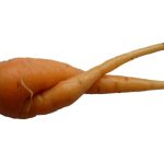 infertile uterus