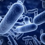 bacteria cells and unexplained infertility