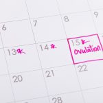 Ovulation Calendar