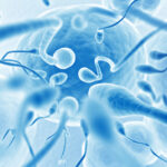 7 Ways To Increase Male Fertility