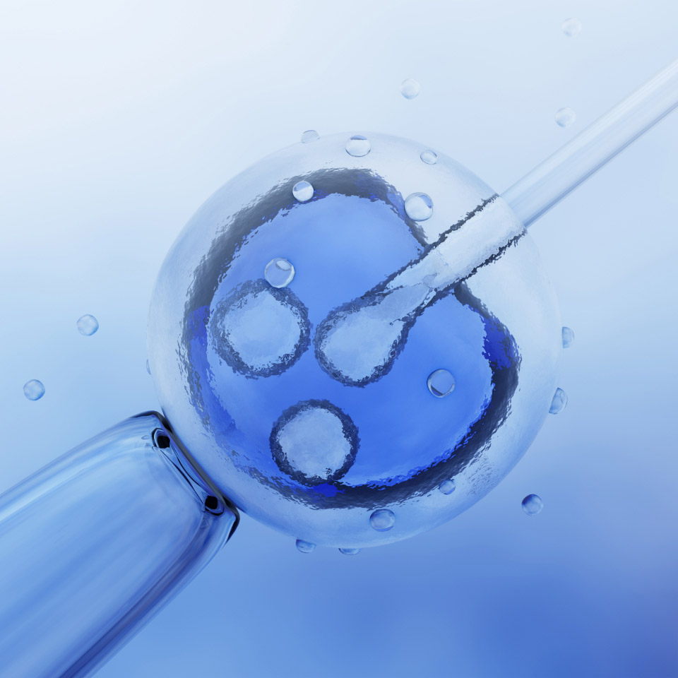 assisted-hatching-microscopi microscopic research of in vitro fertilization