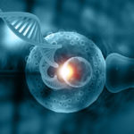 Do Women With Endometriosis Produce Normal Embryos?