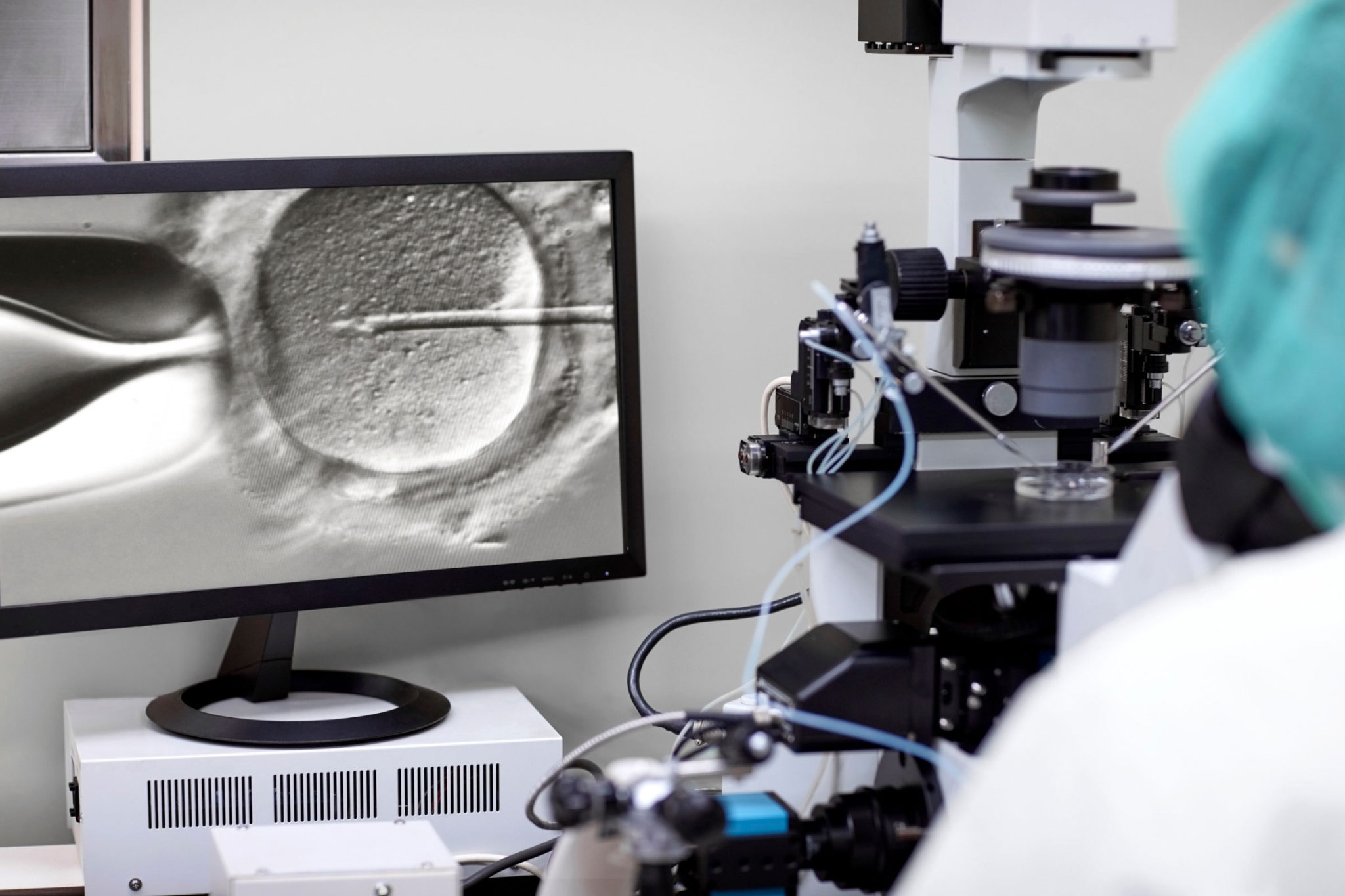 A photo of a lab assistant fertilizing an egg under a microscope.