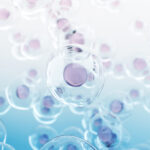 The Difference Between Mosaicism and Aneuploidy