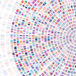 Expanded Genetic Carrier Screening for Preconception