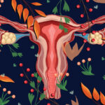 Fibromas y fertilidad: cómo los fibromas uterinos pueden afectar a tus posibilidades de quedarte embarazada