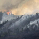 Wildfire Smoke and IVF: What Patients Should Know About Air Quality