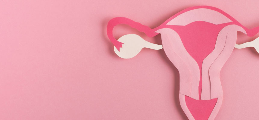 sistema reproductor femenino